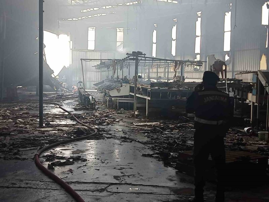 Mersin’de Narenciye Paketleme Tesisinde Yangın
