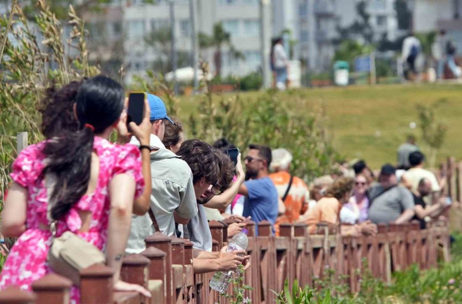Antalya’nın Yasak Dinletmeyen Cazibesi Düden Şelalesi, Tatilci Akınına Uğradı