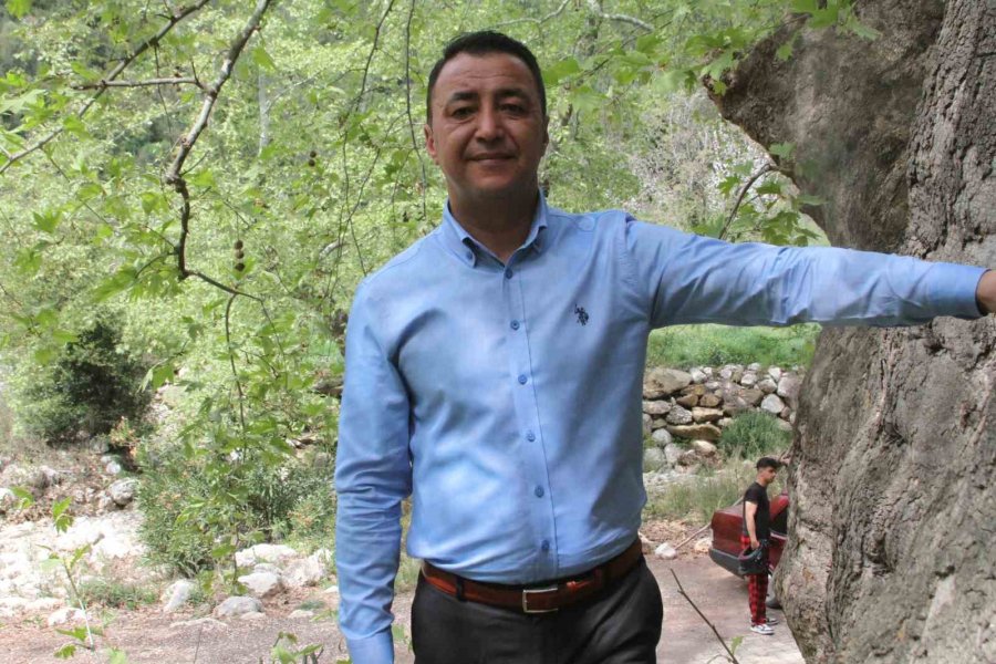 2 Bin 700 Yıllık Çınar Ziyaretçilerini Bekliyor