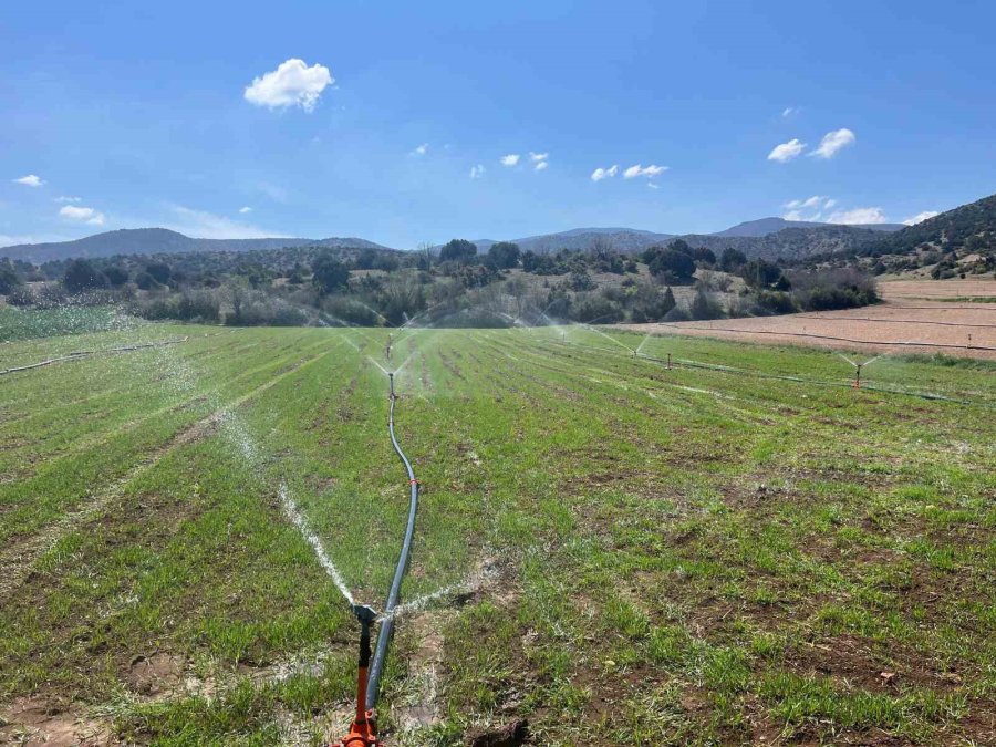 Çiftçiler Yağmur Yağmadığı İçin Tarlalarını Sulamaya Başladı