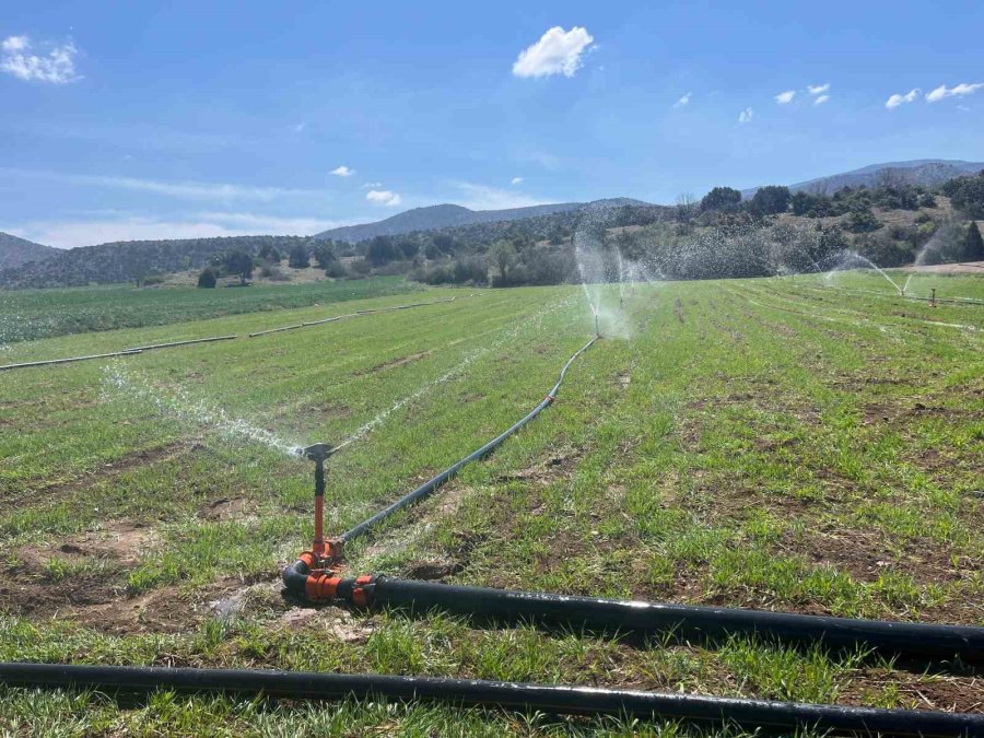 Çiftçiler Yağmur Yağmadığı İçin Tarlalarını Sulamaya Başladı
