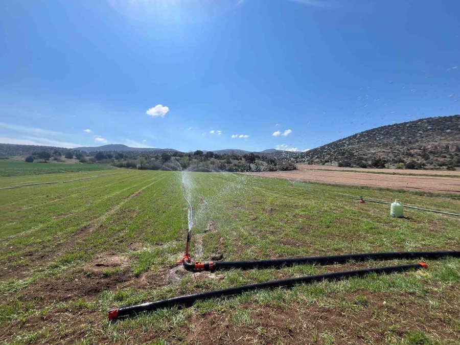 Çiftçiler Yağmur Yağmadığı İçin Tarlalarını Sulamaya Başladı