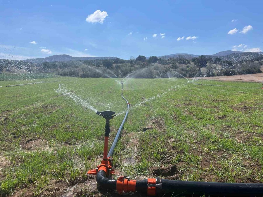 Çiftçiler Yağmur Yağmadığı İçin Tarlalarını Sulamaya Başladı