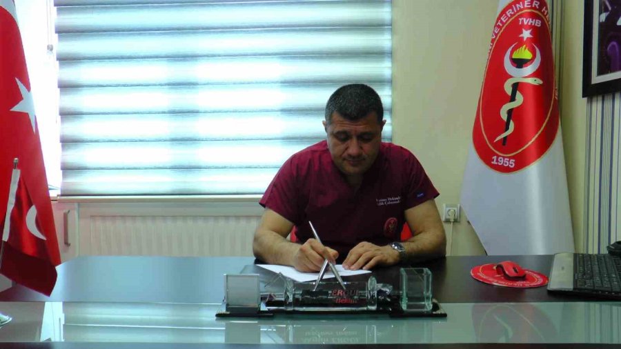 Sivrisineklerle Mücadelede İdeal Zaman