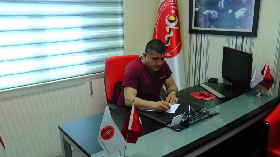 Sivrisineklerle Mücadelede İdeal Zaman