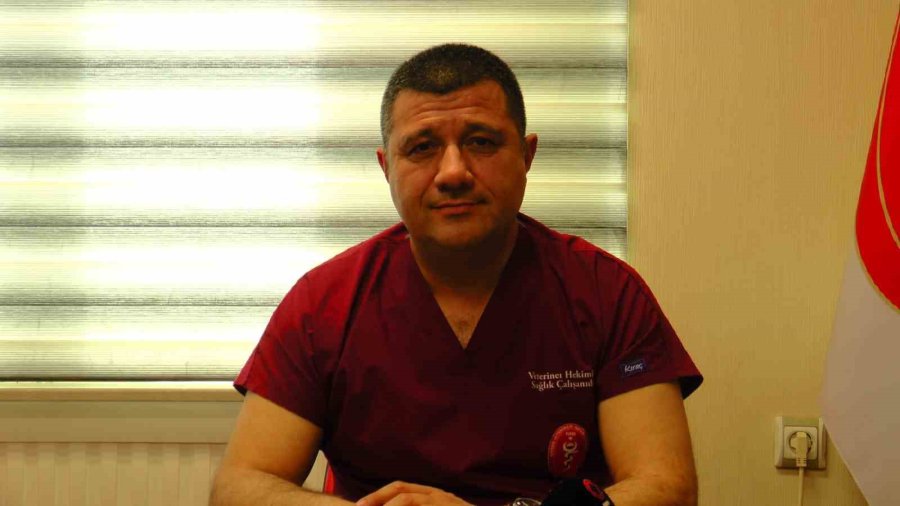 Sivrisineklerle Mücadelede İdeal Zaman