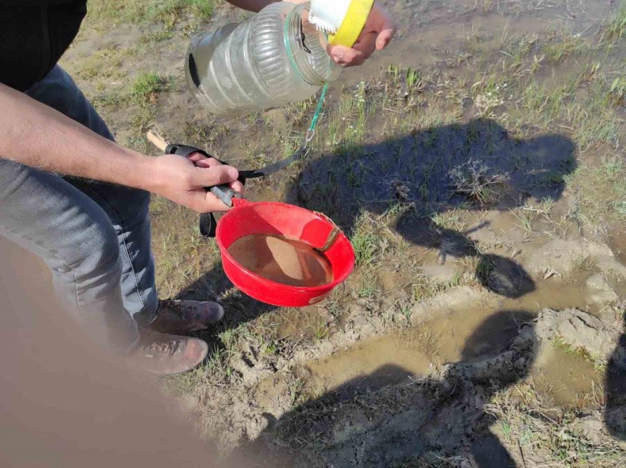Beyşehir Gölü’ndeki Denetimler 9 Günlük Bayram Tatilinde De Sürdü