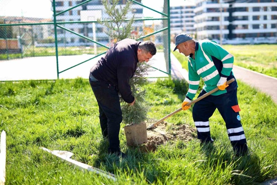 Aksaray’da Ağaç Dikme Seferberliği Başlatıldı