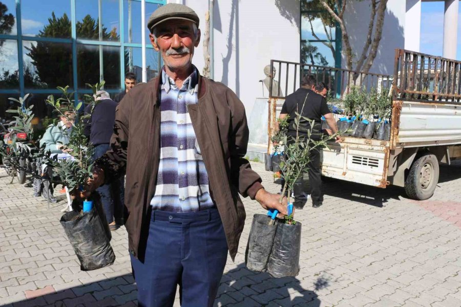 Antalya Büyükşehir Belediyesi’nden Serikli Çiftçilere 700 Zeytin Fidanı