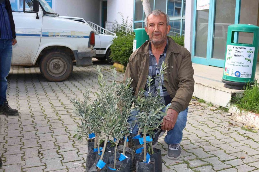 Antalya Büyükşehir Belediyesi’nden Serikli Çiftçilere 700 Zeytin Fidanı