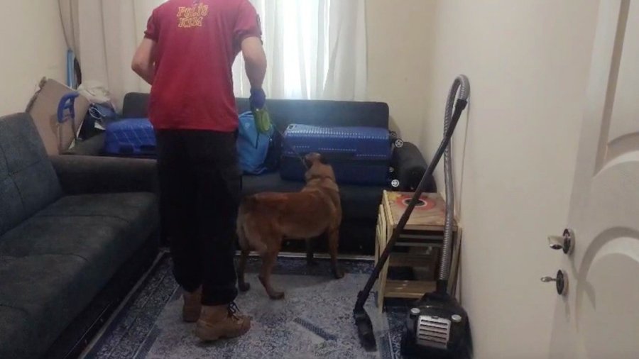 Antalya’da 34 Kilogram Uyuşturucu Ele Geçirilen Operasyonda 1 Kişi Tutuklandı