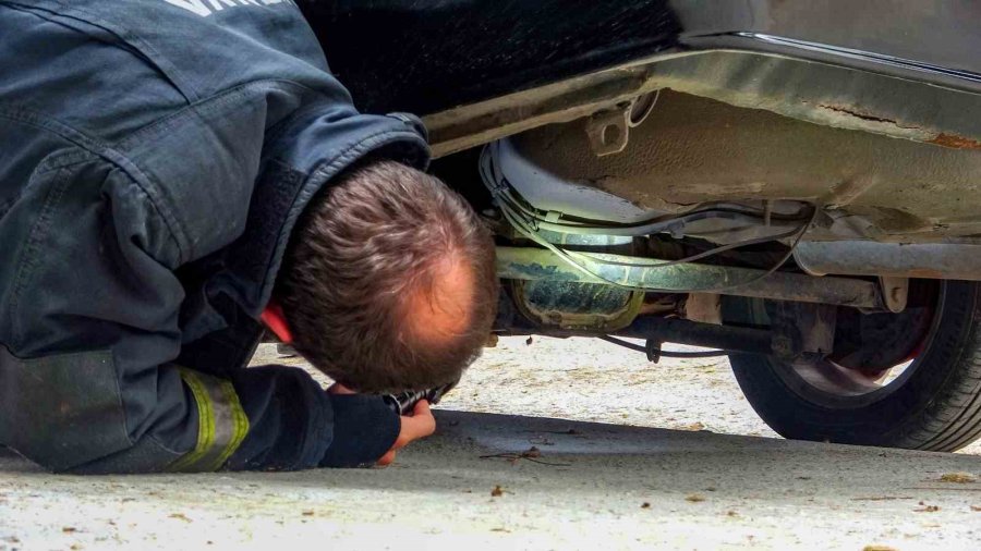 Antalya’da Otomobilde Yılan Alarmı