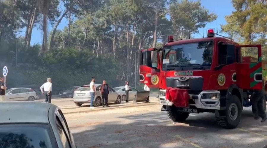 Manavgat’ta Çamlık Alanda Yangın