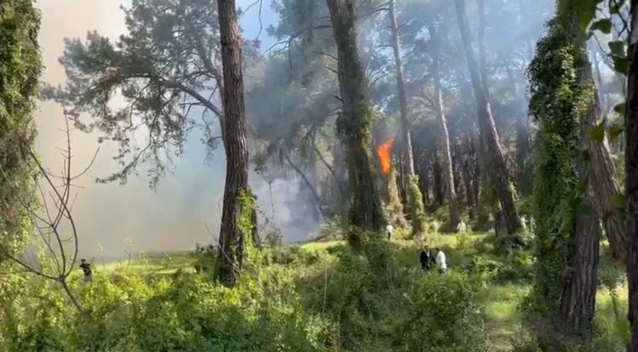 Manavgat’ta Çamlık Alanda Yangın