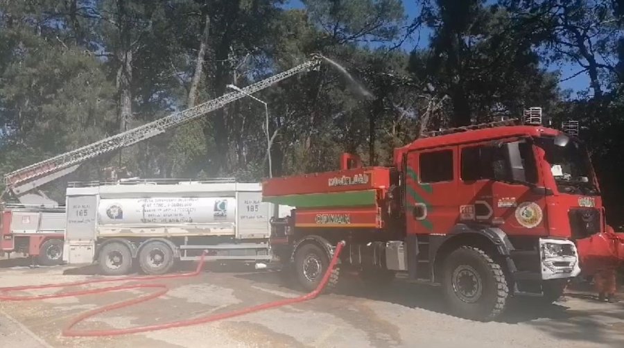Manavgat’ta Çamlık Alanda Yangın