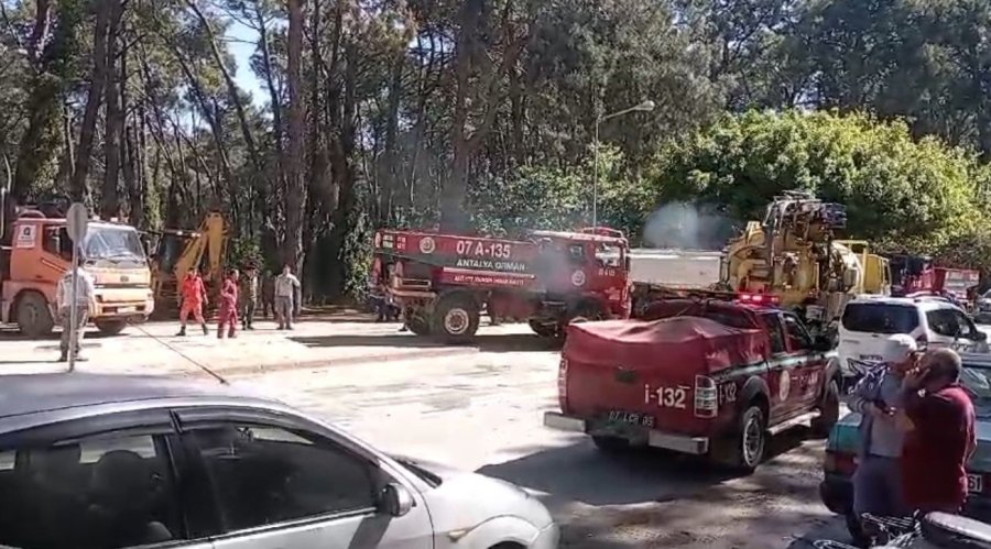 Manavgat’ta Çamlık Alanda Yangın