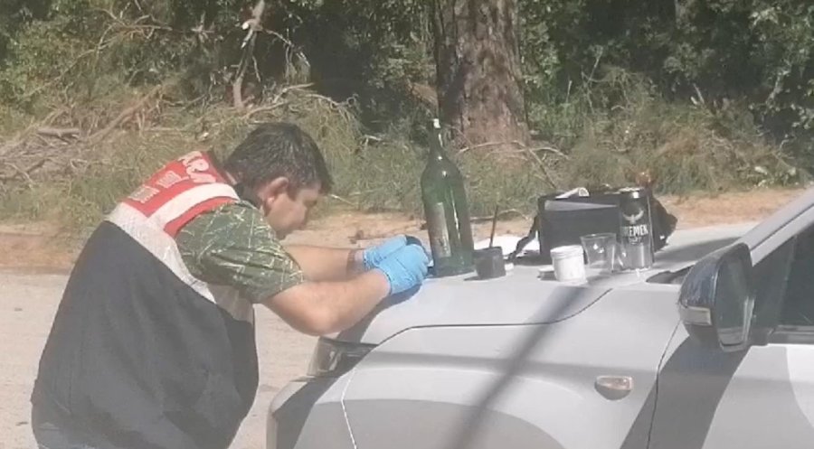 Manavgat’ta Çamlık Alanda Yangın