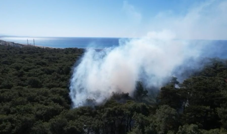 Jandarmanın Dron Kontrolü Orman Yangınının Büyümesini Önledi
