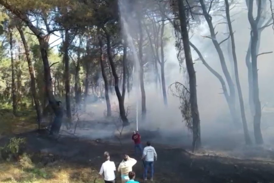 Jandarmanın Dron Kontrolü Orman Yangınının Büyümesini Önledi