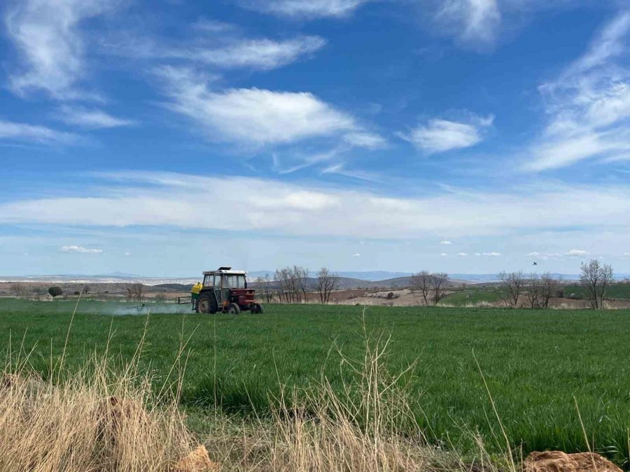 Eskişehir’de Gübre Ve Ot İlacı Atma İşlemi Tamamlandı