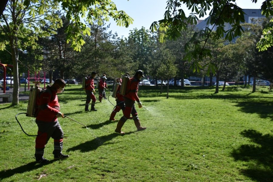 Kocasinan’dan Huzurlu Bir Yaz İçin Haşere İle Mücadele