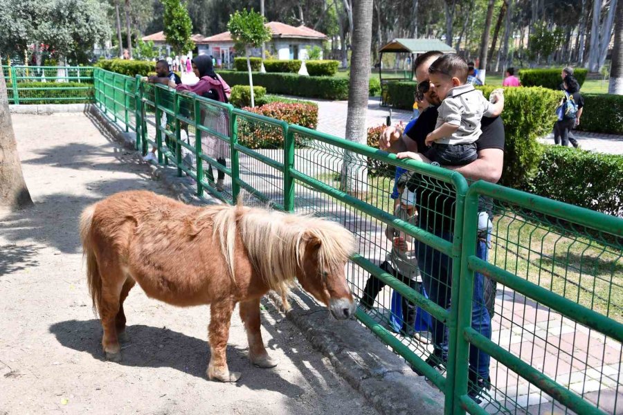 Tarsus Doğa Parkı Ve Gençlik Kampı Bayramda Ziyaretçi Akınına Uğradı