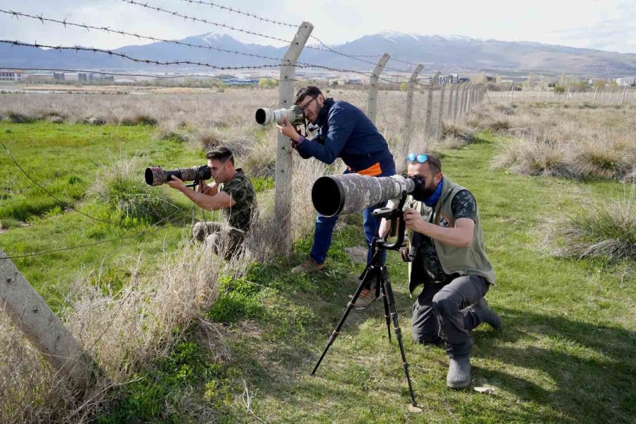 Aladağlar Milli Parkı Ve Niğde Akkaya Barajı, Kuş Fotoğrafçılarının Mekanı Oldu