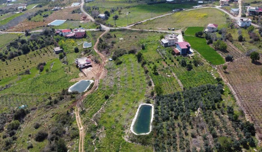 Yayla Ve Köyler Baharla Yeşile Bürünerek Renklendi