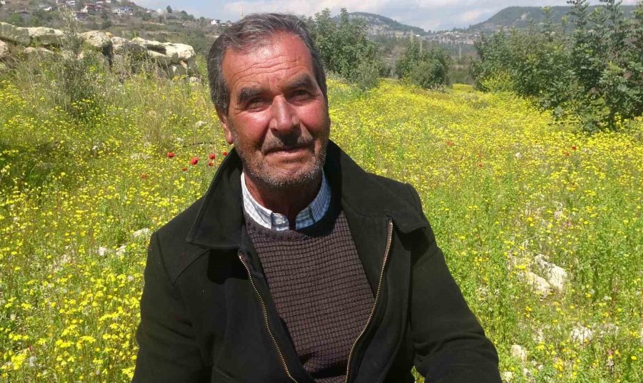 Yayla Ve Köyler Baharla Yeşile Bürünerek Renklendi