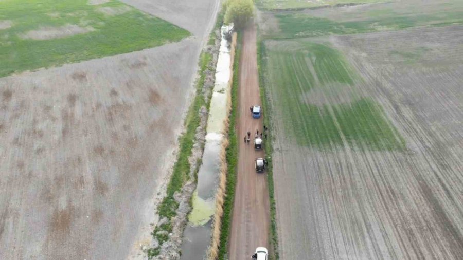 Köpek Dövüştürücüleri Önce Dron İle Sonra Da Kovalamacayla Yakalandı