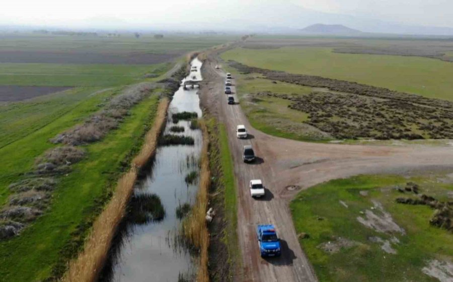 Köpek Dövüştürücüleri Önce Dron İle Sonra Da Kovalamacayla Yakalandı