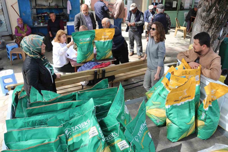 Büyükşehir Belediyesi’nden Silajlık Mısır Tohumu Desteği