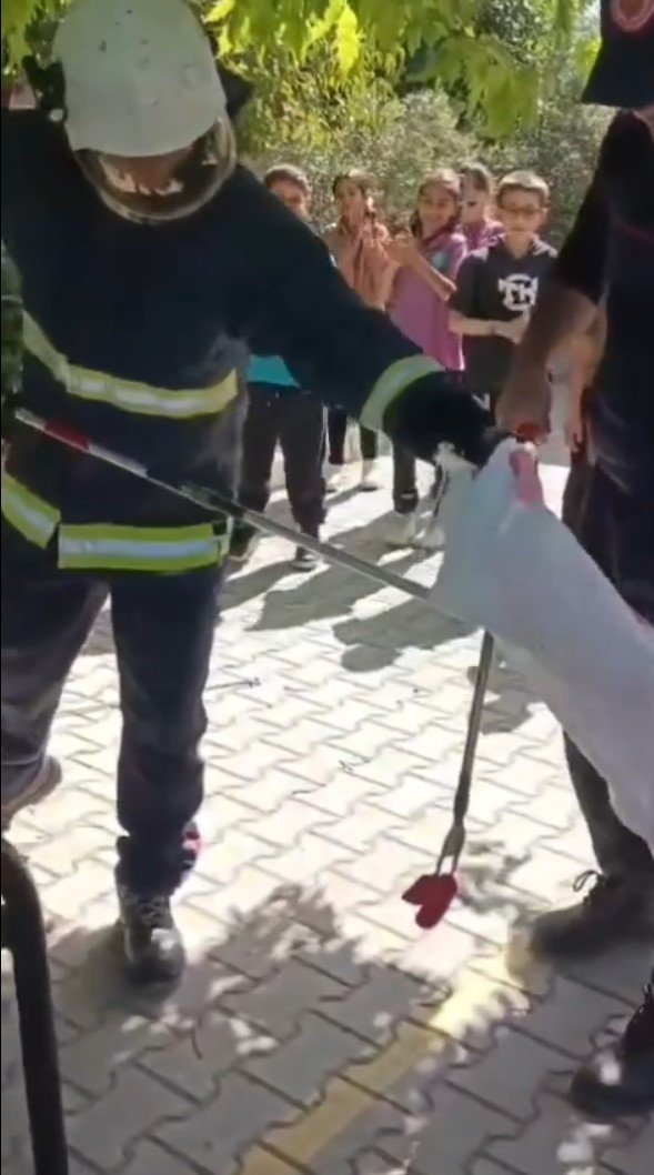 Okul Bahçesindeki Yılanı İtfaiye Ekipleri Yakaladı