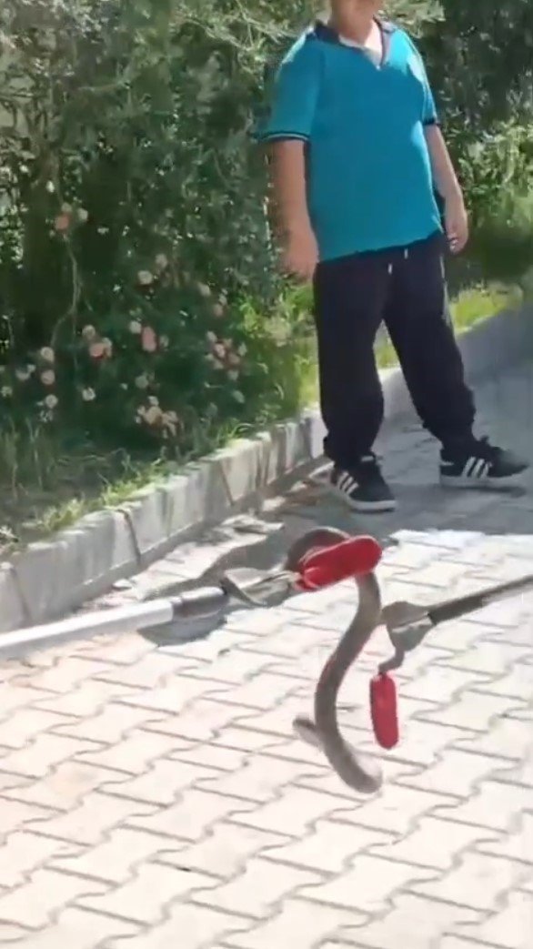 Okul Bahçesindeki Yılanı İtfaiye Ekipleri Yakaladı