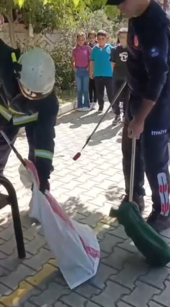 Okul Bahçesindeki Yılanı İtfaiye Ekipleri Yakaladı