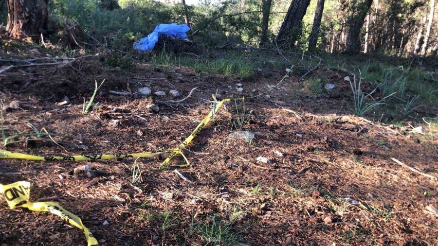 Bağ Evinde Korkunç Ölüm: Boşanma Aşamasındaki Çift İntihar Etti