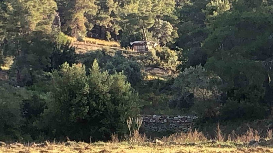 Bağ Evinde Korkunç Ölüm: Boşanma Aşamasındaki Çift İntihar Etti