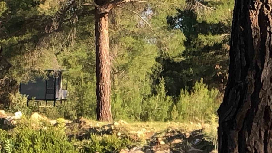 Bağ Evinde Korkunç Ölüm: Boşanma Aşamasındaki Çift İntihar Etti