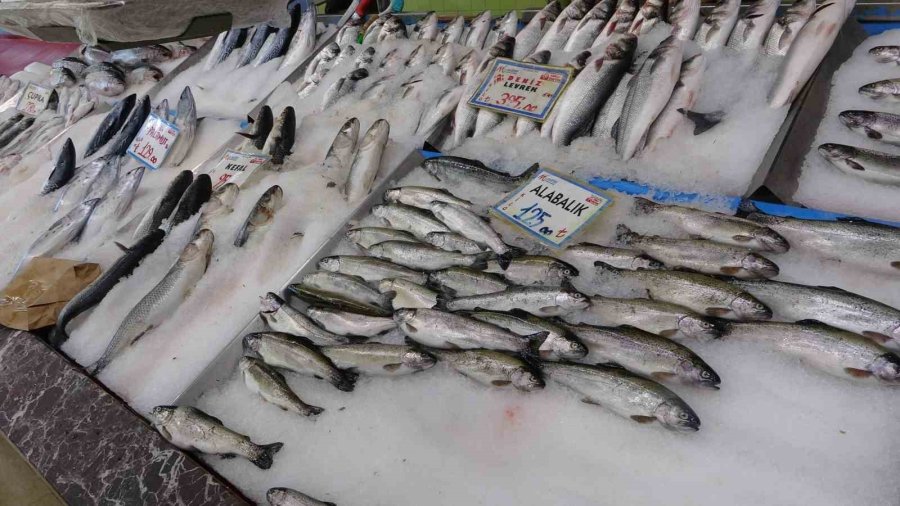 Balıkçılar Geride Kalan Av Sezonundan Memnun