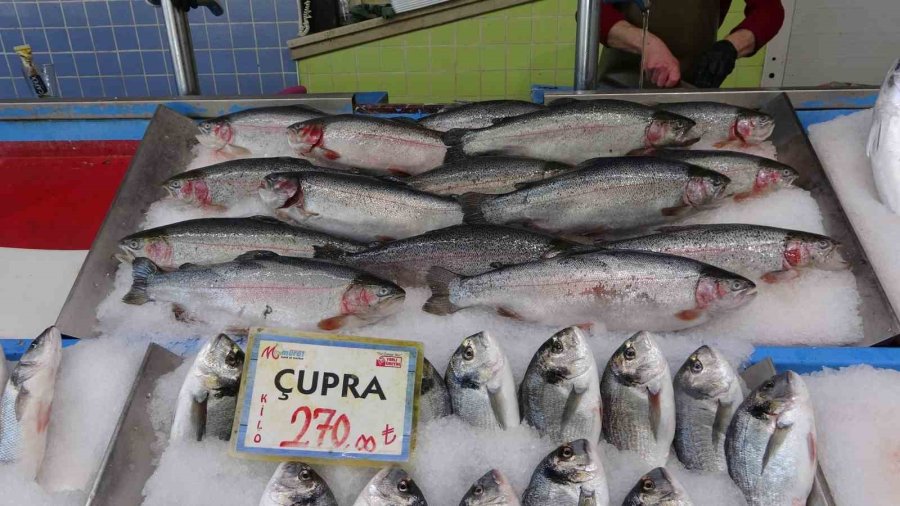 Balıkçılar Geride Kalan Av Sezonundan Memnun