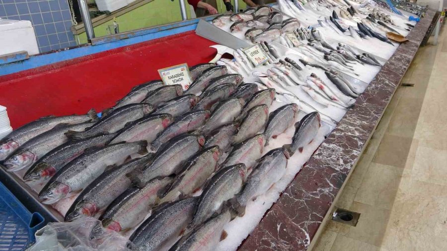 Balıkçılar Geride Kalan Av Sezonundan Memnun