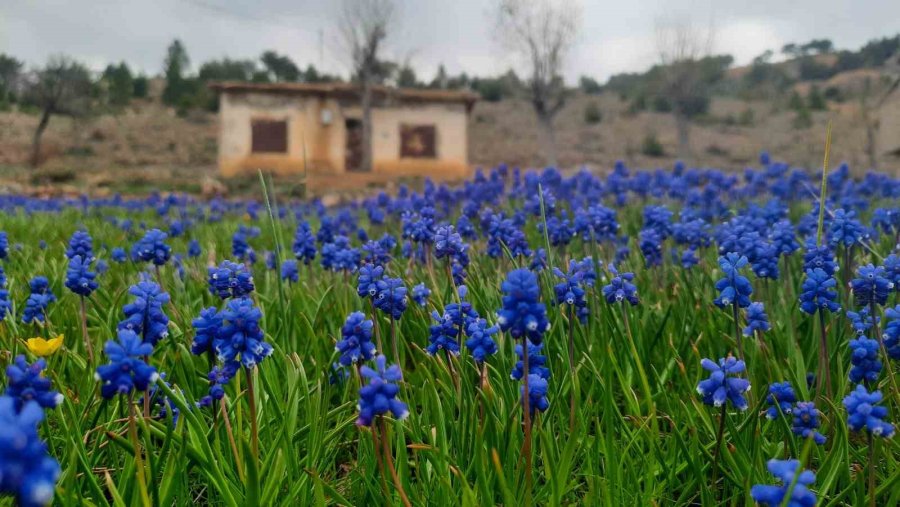 Eğrigöl Tabii Güzellikleriyle Hayran Bırakıyor