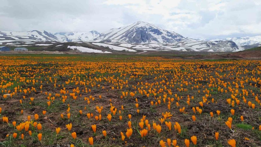 Eğrigöl Tabii Güzellikleriyle Hayran Bırakıyor