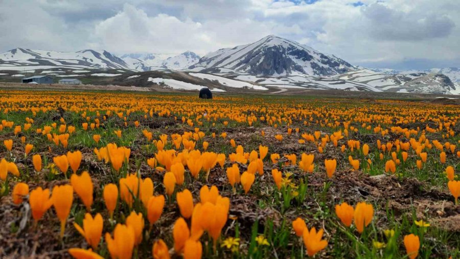 Eğrigöl Tabii Güzellikleriyle Hayran Bırakıyor