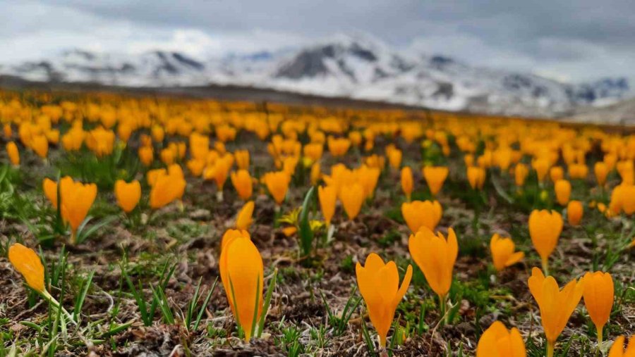 Eğrigöl Tabii Güzellikleriyle Hayran Bırakıyor