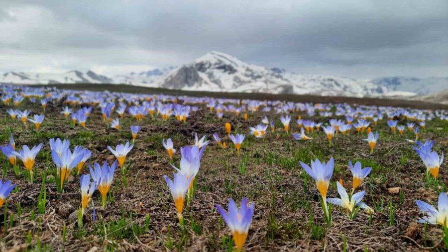 Eğrigöl Tabii Güzellikleriyle Hayran Bırakıyor