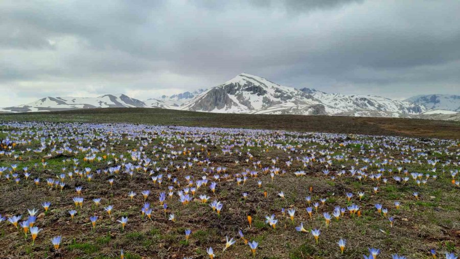 Eğrigöl Tabii Güzellikleriyle Hayran Bırakıyor