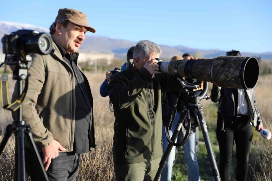 Vali Çelik, Akkaya Barajı’nda Kuş Gözlemi Yaptı