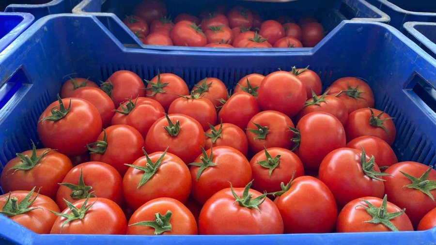 Antalya, Rusya-ukrayna Savaşı Sebebiyle Yaşanan İhracat Kaybını Doğu Ülkeleriyle Kapatmaya Çalışıyor