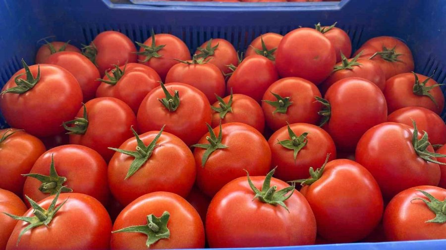 Antalya, Rusya-ukrayna Savaşı Sebebiyle Yaşanan İhracat Kaybını Doğu Ülkeleriyle Kapatmaya Çalışıyor